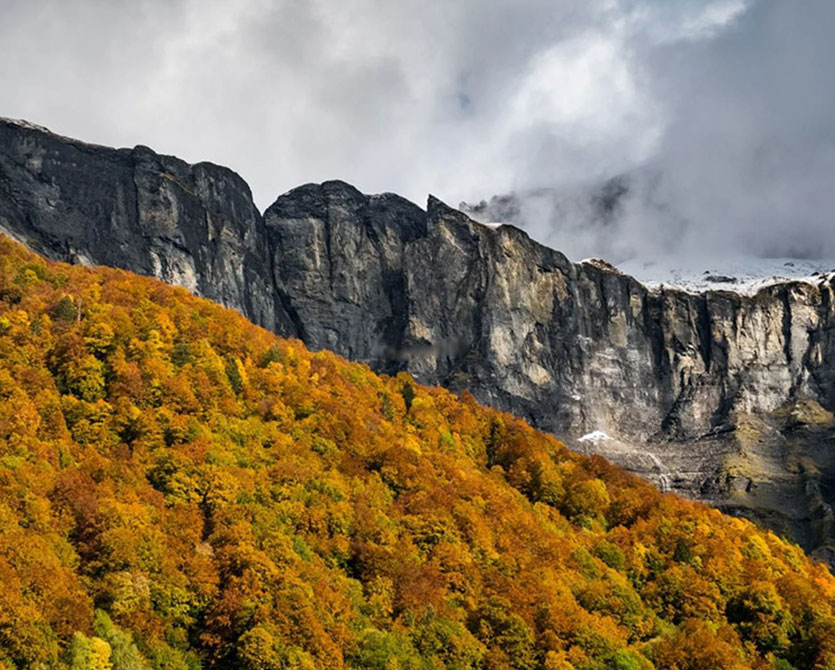 La gestion durable des forêts françaises avec ÖkoFEN